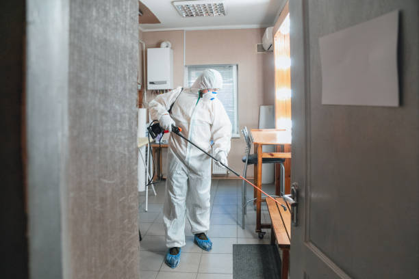 Best Mold Odor Removal Services  in Davisboro, GA