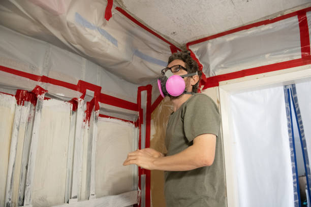 Best Crawl Space Mold Remediation  in Davisboro, GA