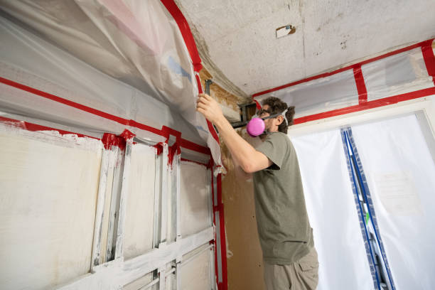 Davisboro, GA Mold Inspection, Removal & Remediation Company