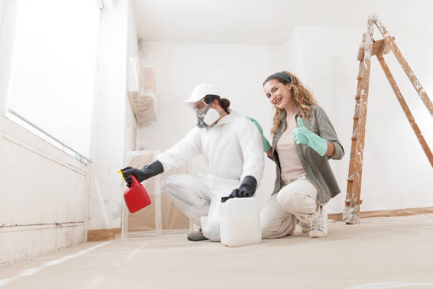 Best Commercial Mold Inspection  in Davisboro, GA